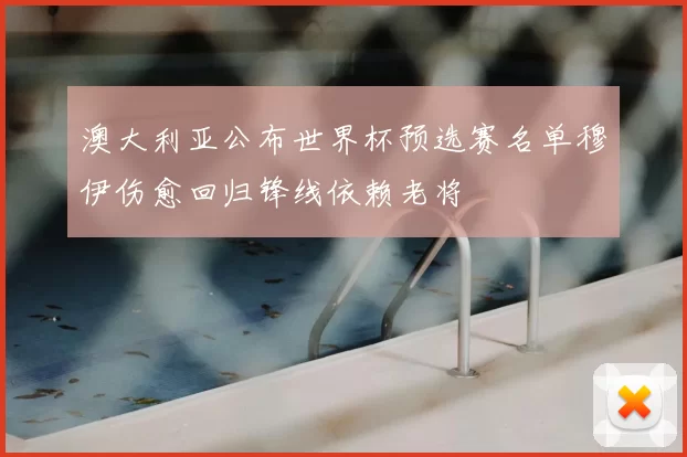澳大利亚公布世界杯预选赛名单穆伊伤愈回归锋线依赖老将