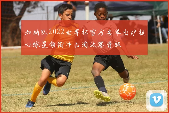 加纳队2022世界杯官方名单出炉核心球星领衔冲击淘汰赛晋级