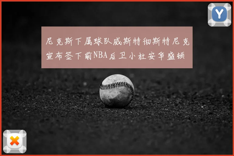 尼克斯下属球队威斯特彻斯特尼克宣布签下前NBA后卫小杜安华盛顿